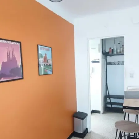 Spacious Ideal For Leisure And Work Apartment Perpignan